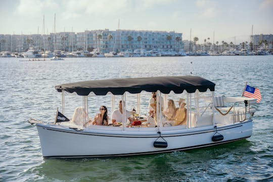 Luxury 22ft' Duffy Electric Boat with Captain | Miami River, Miami, Biscayne Bay