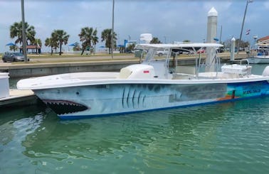 Private Dolphin Watch Boat Cruise onboard 36ft Twin Vee Center Console