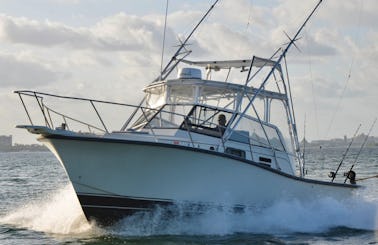 Fishing Charter 31ft in Cancún, Quintana Roo