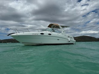 Sea Ray Sundancer 28" for up to 8 guests at Lajas