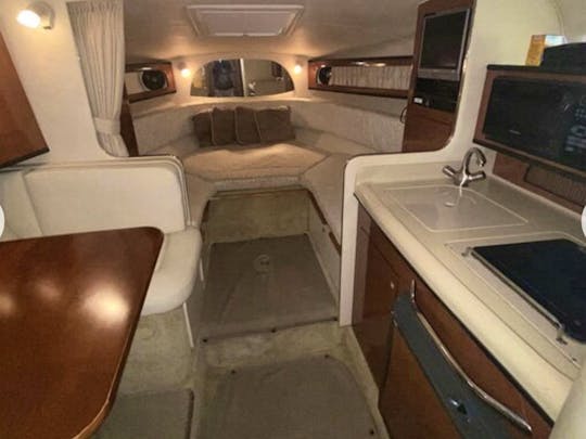 Fun & Affordable! With Restroom & Kitchen / Bed on Board! 