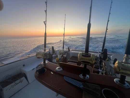 **NUEVO LISTADO CON PRECIOS REDUCIDOS** ¡Pesca en alta mar, cruceros y descuentos militares!