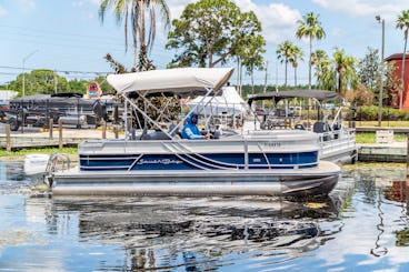 South Bay 24 FCR Pontoon Lake Tarpon - Palm Harbor, Flórida