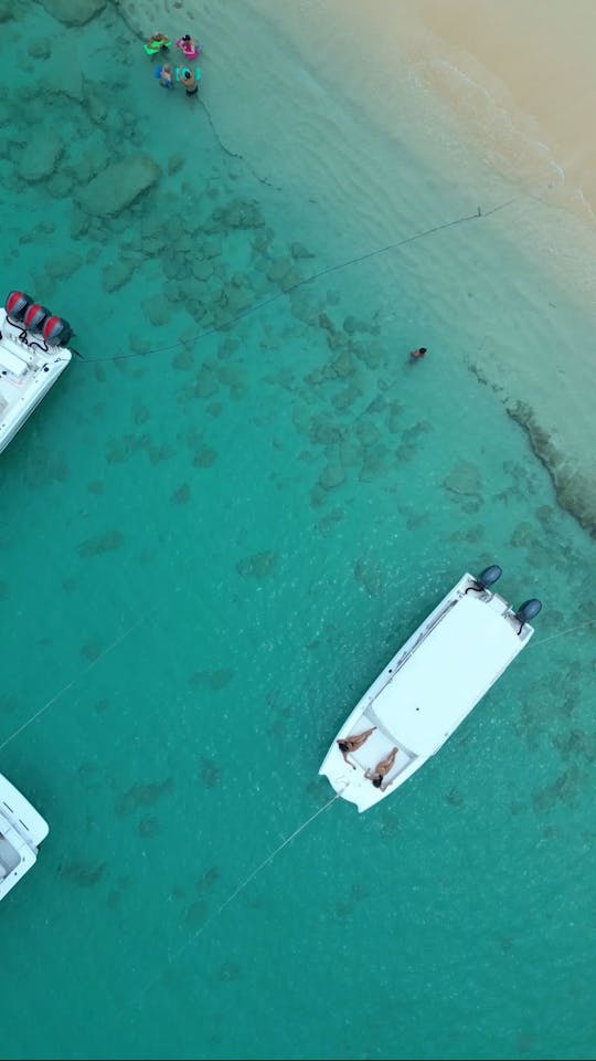 Catamarán Prowler de 25 pies para 6 personas: divertido crucero con esperanza en la isla, esnórquel y alcohol