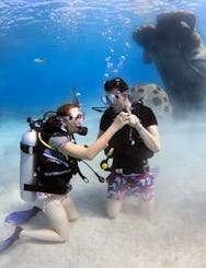 Nassau: Private Scuba Diving Adventure 