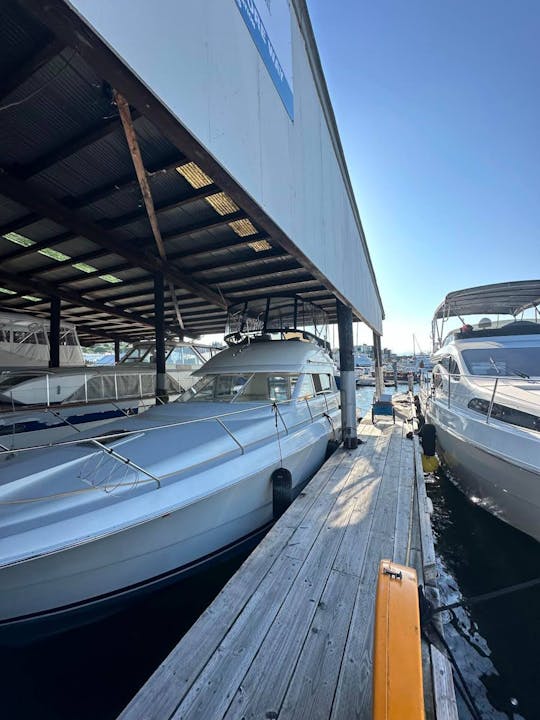 34' Motor Yacht Available In Seattle