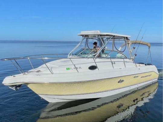 Excellent bateau de croisière ou de haute mer