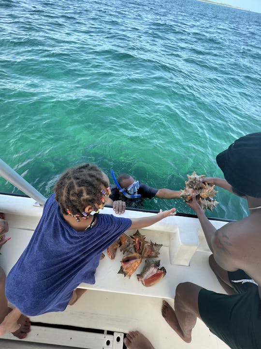 Glass Bottom Boat Snorkel Adventures & Pig Beach in Bahamas