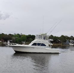 46' Bertram Yacht for deep sea fishing, cruises, snorkeling, day trips and more!