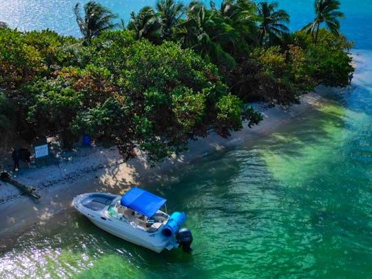 Enjoy 8! IDENTICAL 26' Sea Ray Sundeck in Miami! (HUGE WEEKDAY DISCOUNTS