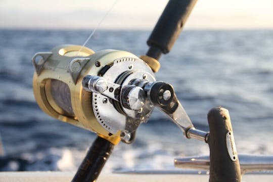 Experiência particular de 5 horas em carta de pesca esportiva em Cabo San Lucas