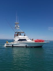 Yacht Bertram 42 pieds classique et magnifique, idéal pour la pêche sportive.