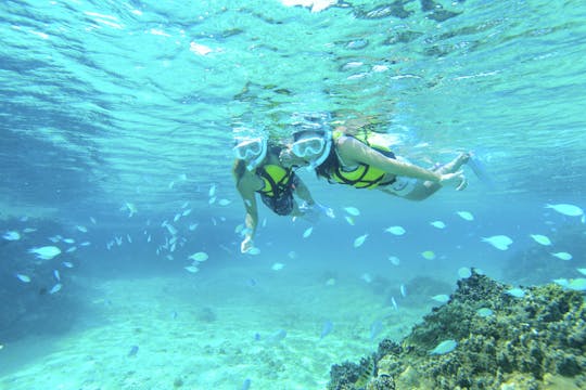 ¡Crucero de medio día en Okinawa en un catamarán de lujo!