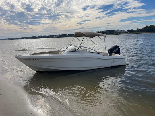 2018 ハリウッドビーチでのスカウトドラードのレンタル ⛵️