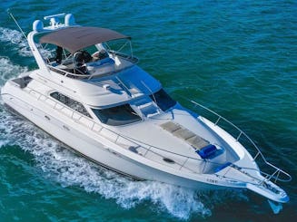 Enjoy Miami In 51FT SEA RAY FLY!!! 🌊🌊