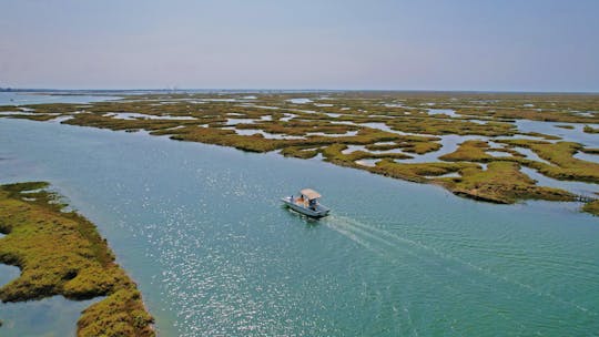 Algarve Eco Boat Trip in Ria Formosa from Faro