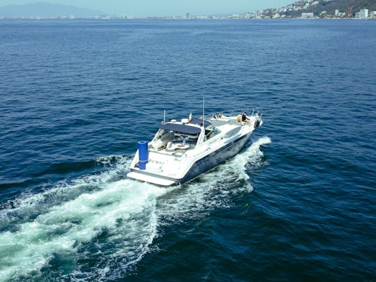 ANDALE | Magnifique yacht SeaRay Express de 55 pieds, passez une journée parfaite à PV. 