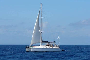 Catamaran de 40 pieds - Naviguez