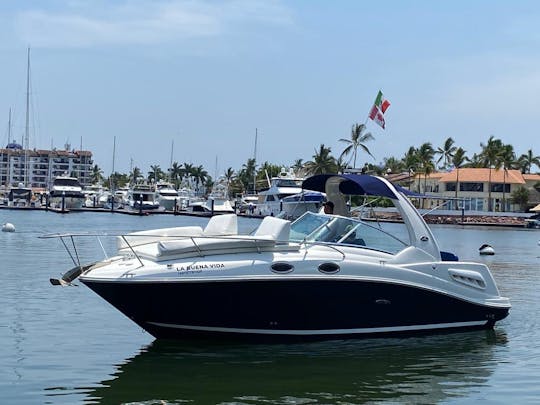 Lovely SeaRay 26 Motor Yacht in Puerto Vallarta