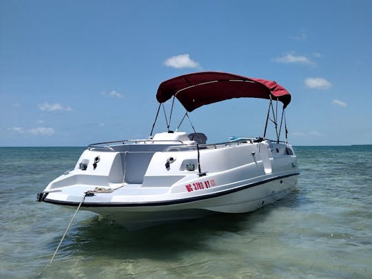 Barco a motor Chaparral de 23 pés com capa Bimini para aluguel diário