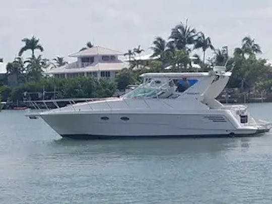 Yacht spacieux de 40 pieds idéal pour se détendre, faire du tourisme et nager. 