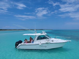 Boston Whaler de 37' para 10 pasajeros. Visita el Cielo, Cozumel