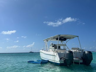 ミニカタマラン 25フィートプラウラー-透き通った水、ビーチ、シュノーケリング、そしてとても楽しい！