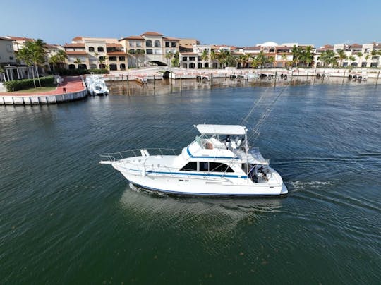 🐠🌊🔥 BARCO DE LUXO PARA PESCA EM ALTO MAR PRIVADO E COMPARTILHE... Power in Miches