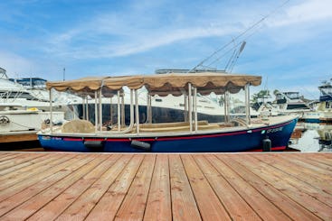 Bateau électrique Duffy de 21 pieds avec enceinte complète (12 personnes)