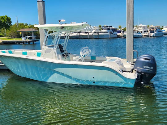 2017 Sea Fox Commander Reef Fishing, Offshore Fishing, Snorkeling and Sand Bar