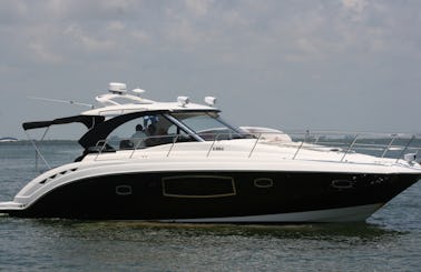42Ft. Luxury Yacht for 12 people in Cancun, Mexico