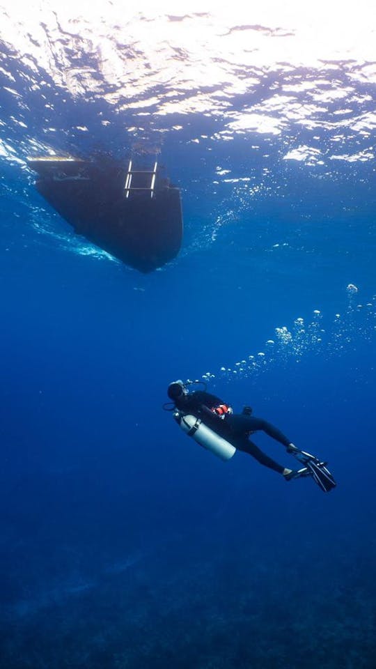 Nassau : aventure privée de plongée sous-marine 