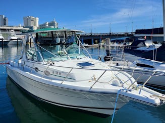 Expérience de pêche privée | Location de 4 heures | Voyage de pêche