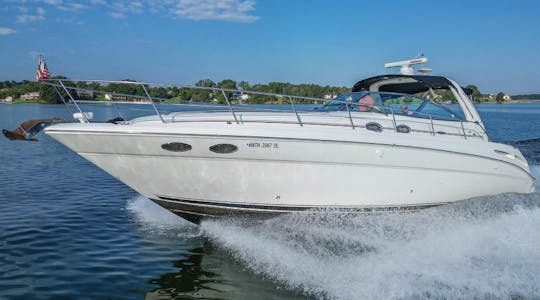 Enjoy Chicago in this 42' Stunning Sea Ray Sun Dancer - Great for any Event! 