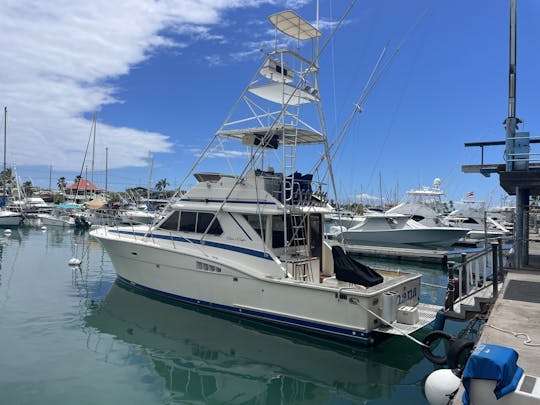 Waikiki Yacht Rental/ Sunset trips/ Sportfishing Whale watching