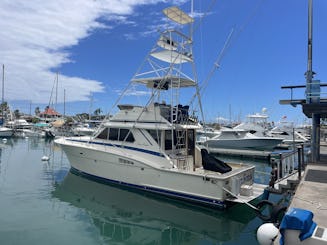 Waikiki Yacht Rental/ Sunset trips/ Sportfishing Whale watching