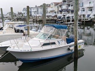 Cree recuerdos pescando o navegando en el yate Wellcraft 230