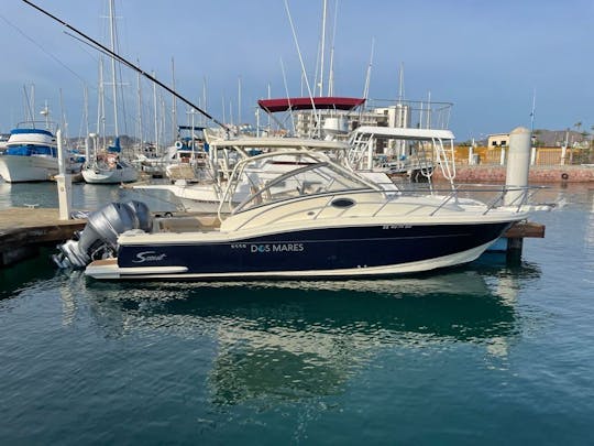 Expérience exclusive avec notre Scout 280 Sportfish à La Paz, en Colombie-Britannique