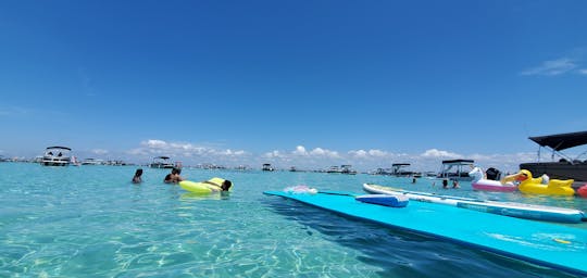 ¡Fiesta en Crab Island! Con Lily Pad.