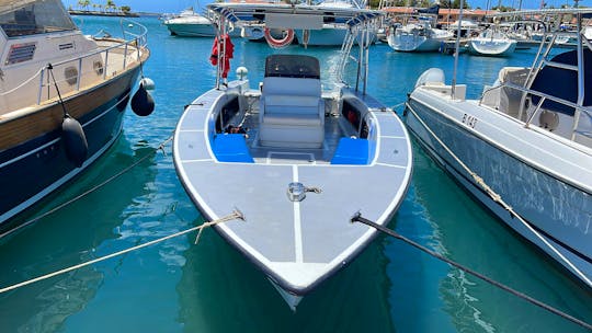 private boat charter, Bonaire, Kralendijk Snorkeling, wakeboarding, tubing 