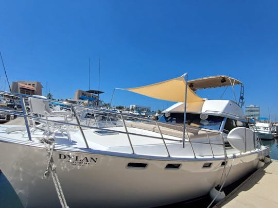 40ft Yacht to experience Puerto Vallarta in style