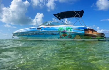 Key West Party Boat- Dolphin, Snorkel, Sandbar, Fishing, Lobstering, Sunset