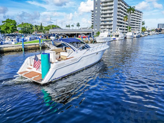 Enjoy our Classic and Comfortable Wellcraft 48' Motor Yacht!