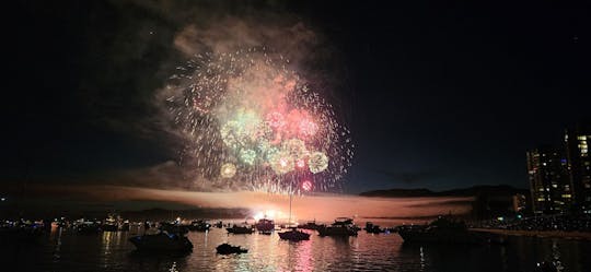 Festival Of Light Fireworks - Front Row Seat