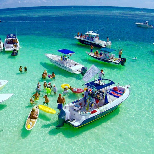 Bar de areia com tudo incluído, mergulho com snorkel, churrasco, passeios turísticos e barco de 26 pés ao pôr do sol