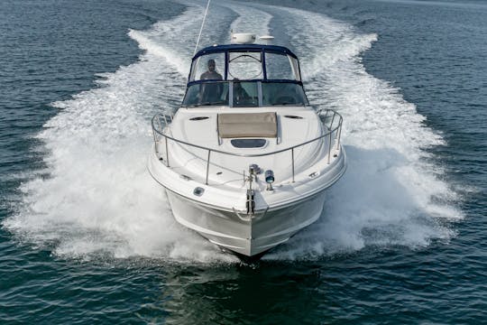 Bay Cruiser Sea Ray de 34 pies 