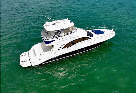 60'  Sea Ray Flybridge Yacht !1 FREE Jetski on WEEKDAYS !!