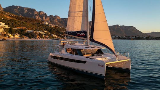Catamarã Leopard 45