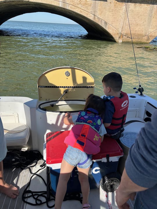 Going Gulfin, Galveston, Freeport, Matagorda |22' Walk Around | Full or Half Day