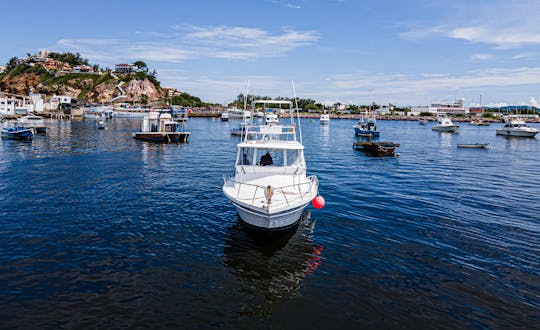 Custom 36 ft Yacht and Sportfishing Charter in Mazatlan